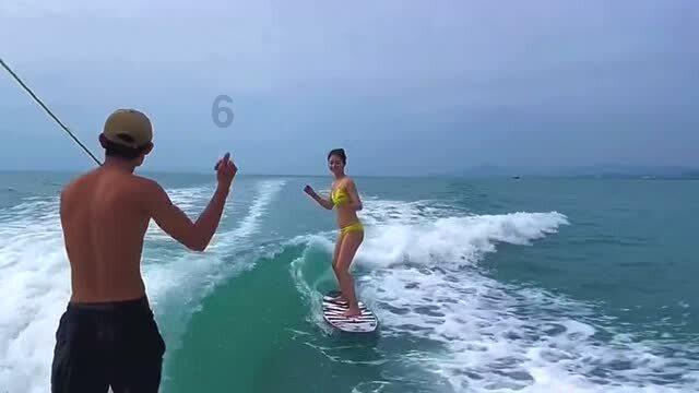 这8种“短”鼻子的狗狗在夏季最容易中暑的,你家的狗狗在其中吗
